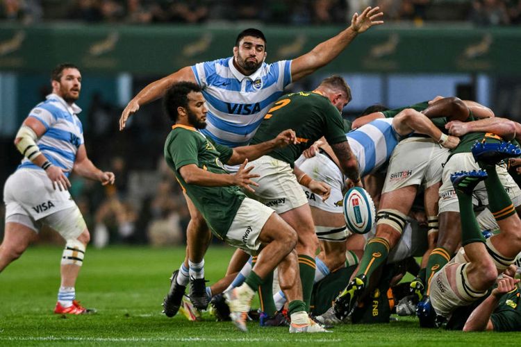 South Africa vs Argentina