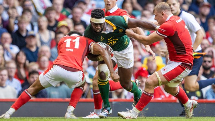 Wales vs South Africa