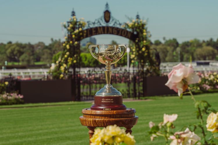 A quick look at the 2024 Melbourne Cup horses Melbourne Cup 2024 BFN NZ